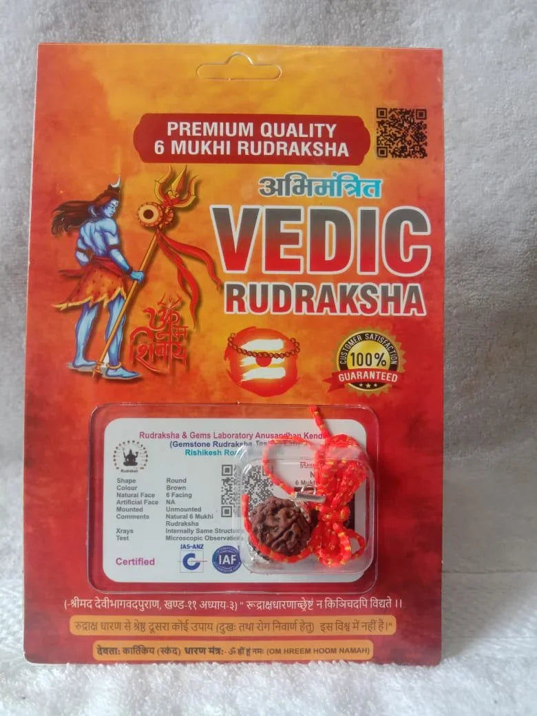 Authentic 6 Mukhi Rudraksha (Nepali Dana)