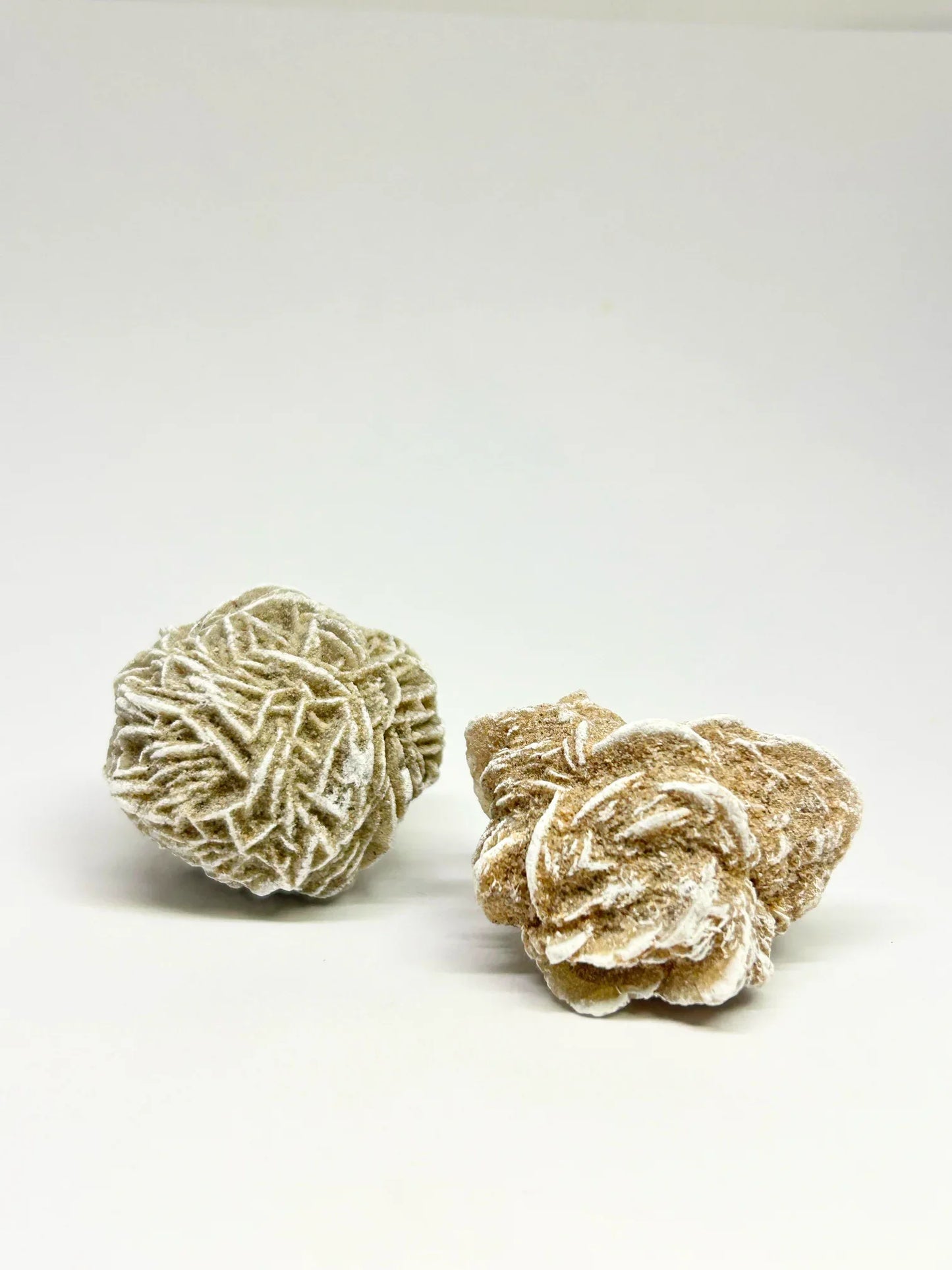 Desert Rose