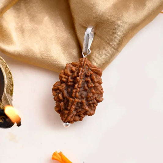Authentic 2 Mukhi Rudraksha (Nepali Dana)