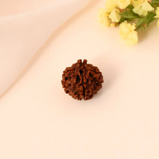 Authentic 4 Mukhi Rudraksha (Nepali Dana)