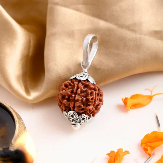 Authentic 7 Mukhi Rudraksha (Nepali Dana)