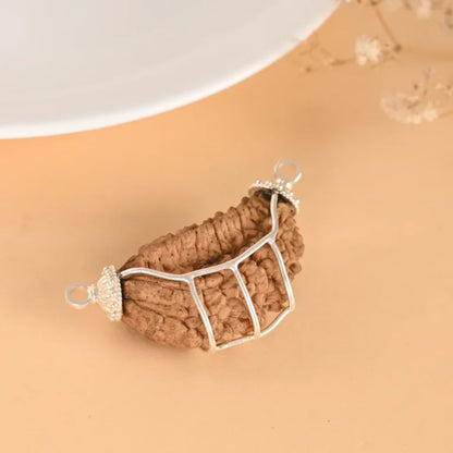 Authentic 1 Mukhi Rudraksha – Nepali Dana