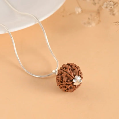 Authentic 6 Mukhi Rudraksha (Nepali Dana)