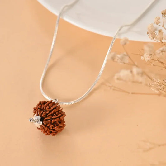 Authentic 11 Mukhi Rudraksha (Nepali Dana)