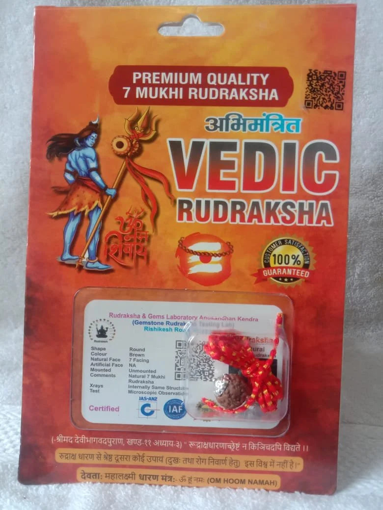 Authentic 7 Mukhi Rudraksha (Nepali Dana)