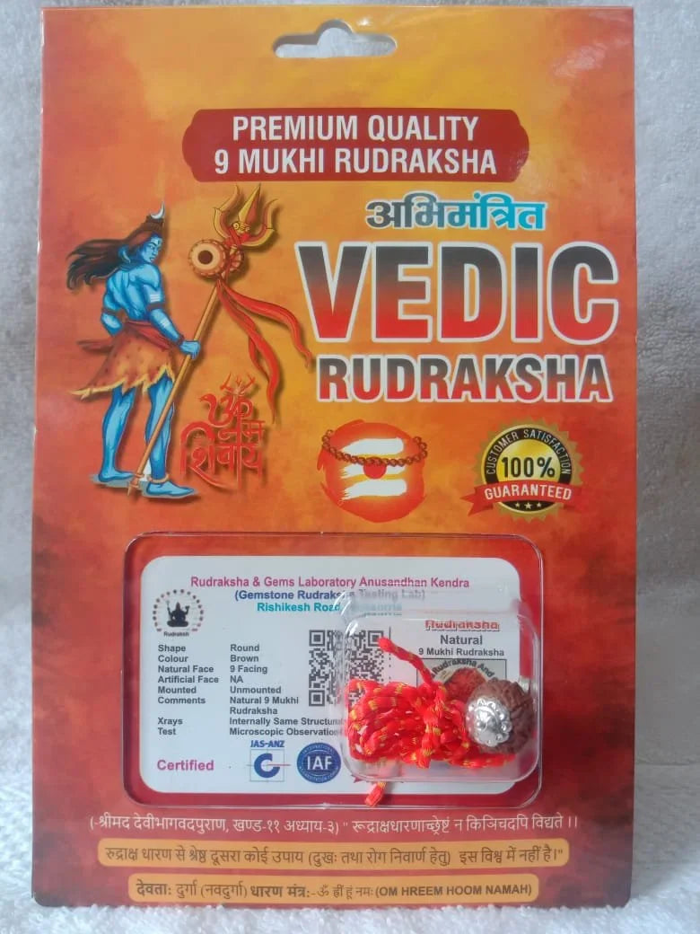 Authentic 9 Mukhi Rudraksha (Nepali Dana)