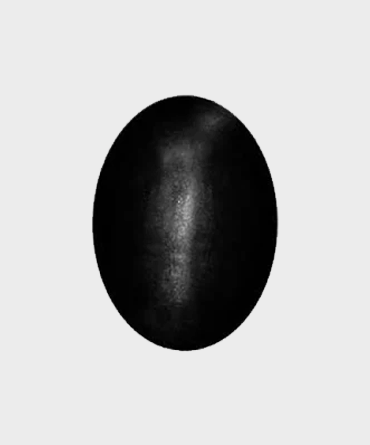 Saligram